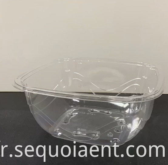 Clamshell Pet Fruit Tray